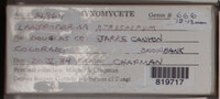Image Associated With the Occurence